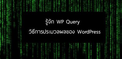 WP Query