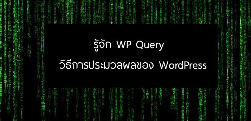 WP Query